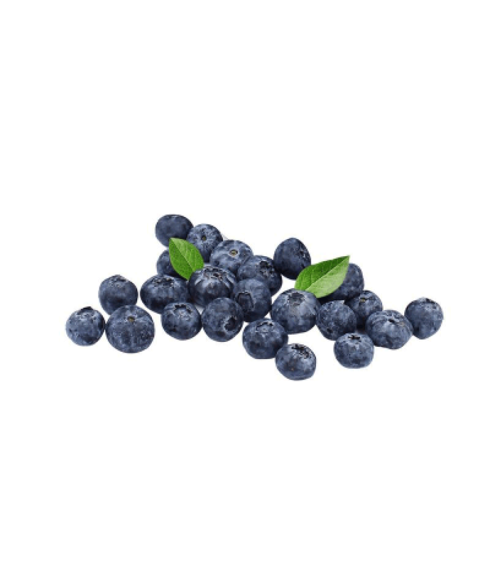 BLUEBERRY C12 125G+/-