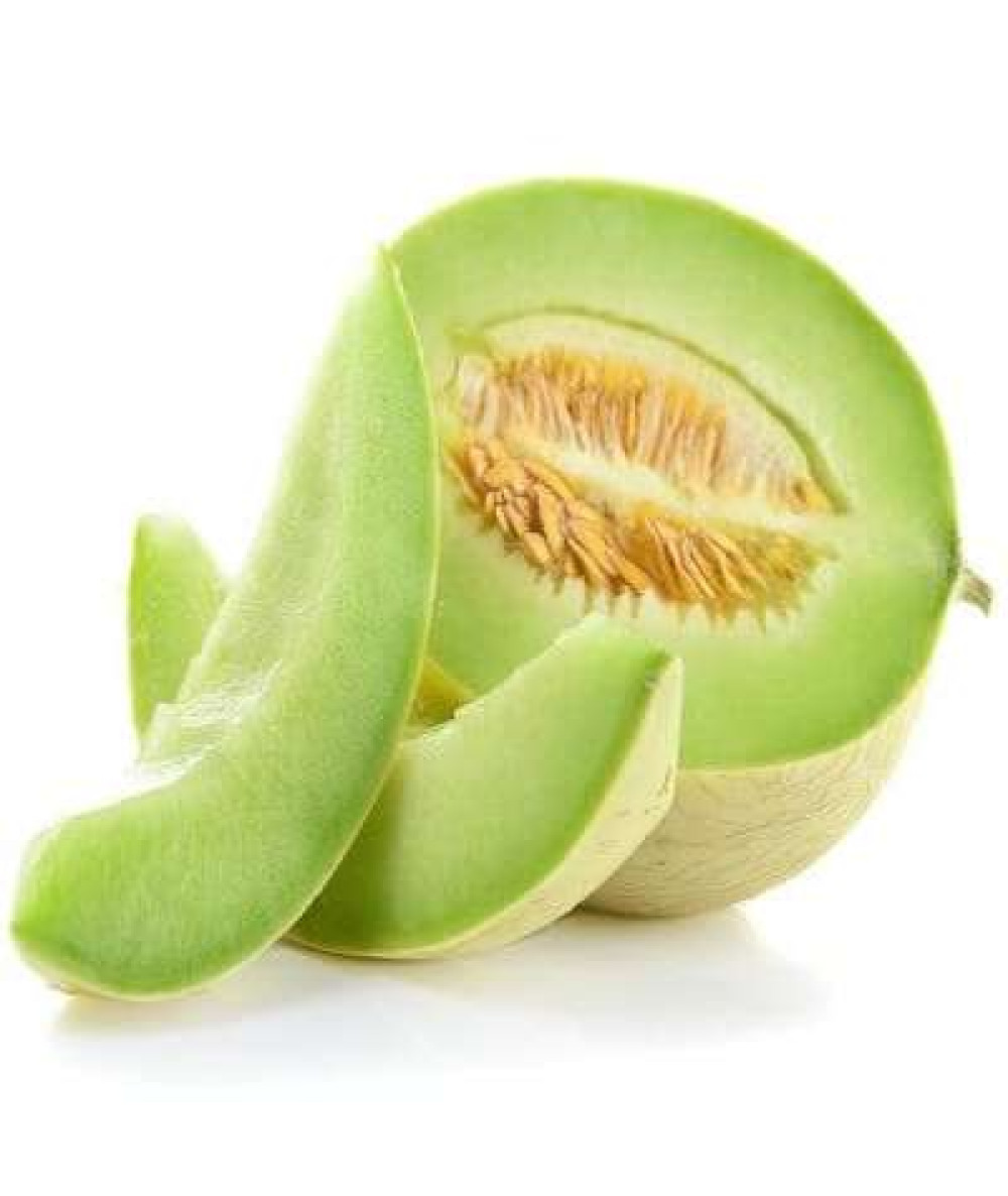 HONEYDEW MELON /KG