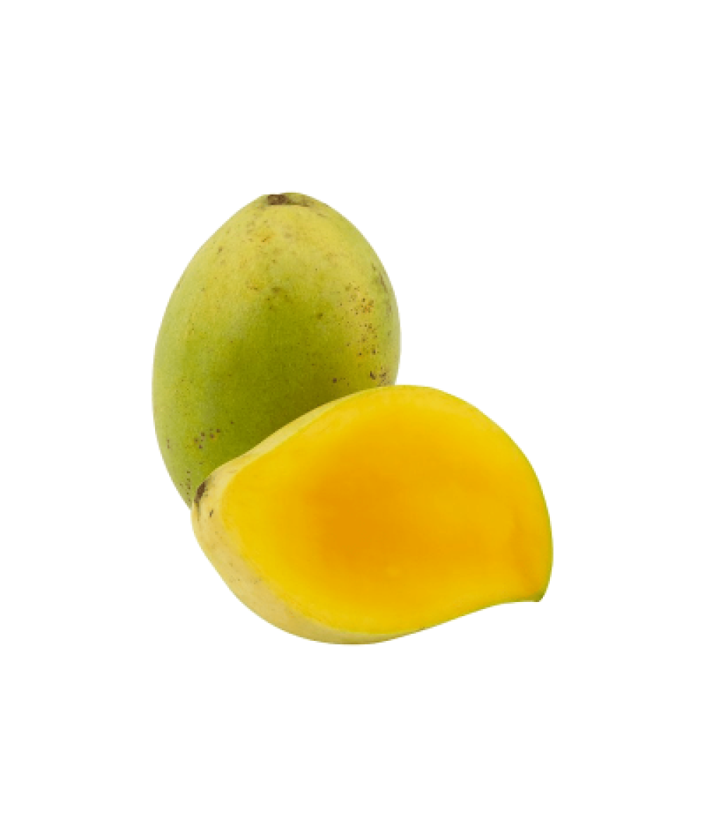 GREEN SUSU MANGO (THA) /KG