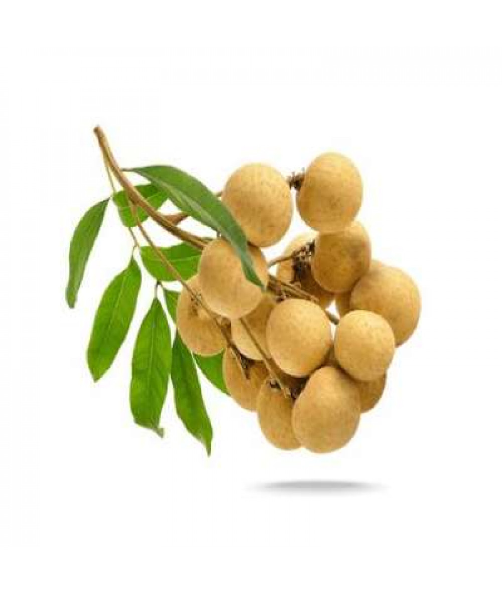 LONGAN (THA) /KG