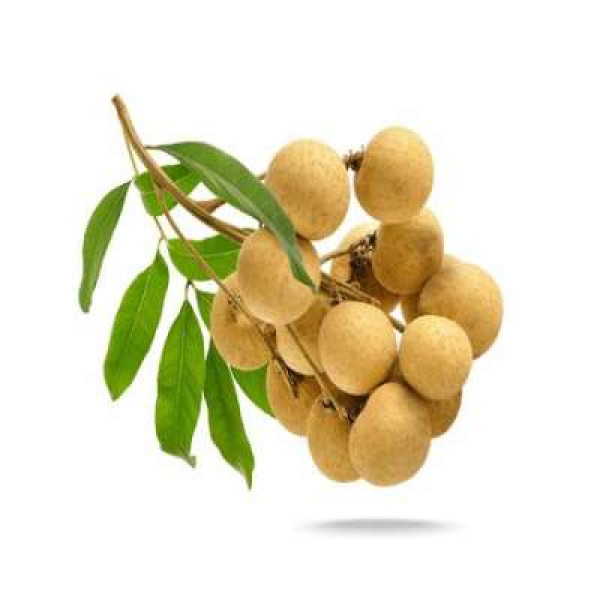 LONGAN (THA) /KG