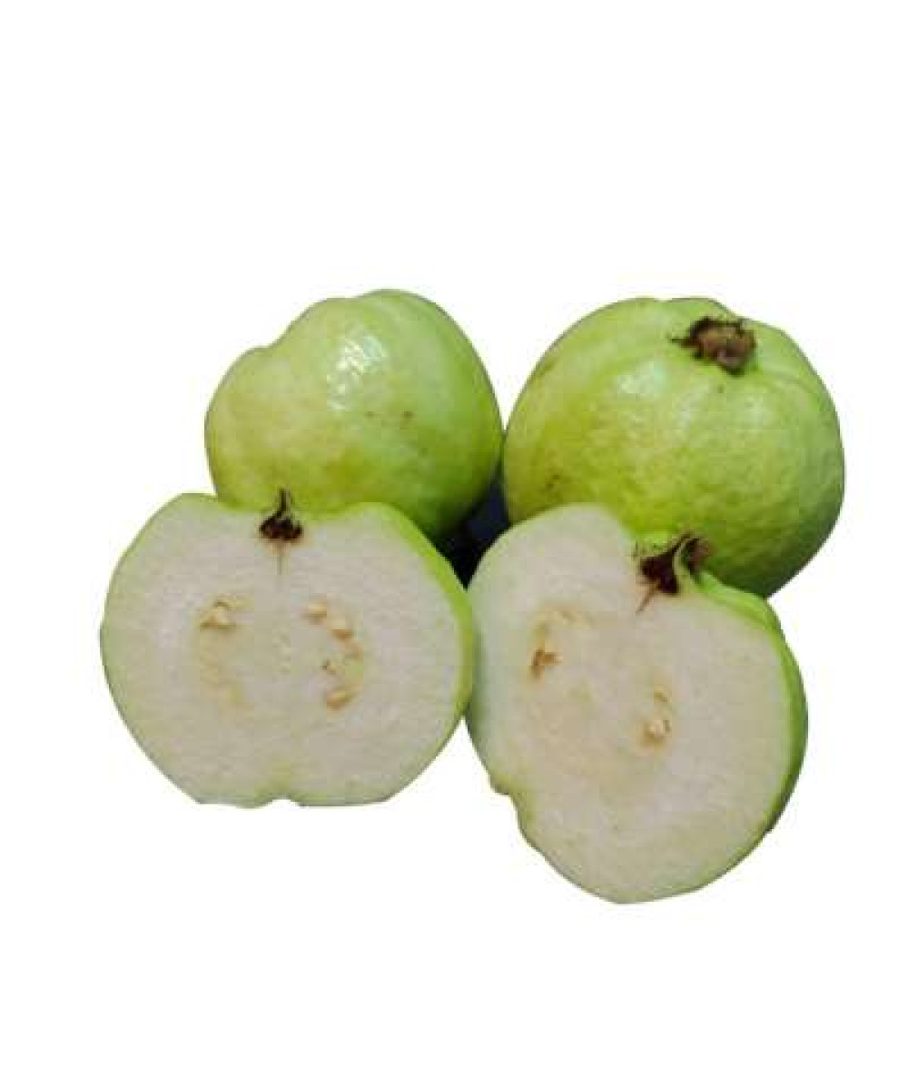 GUAVA SEEDLESS (THA) /KG