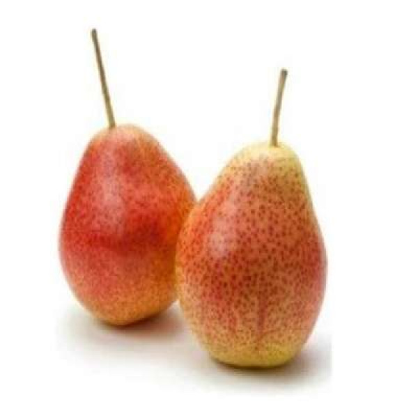 FORELLA PEAR L (ZAF) C52 1PC