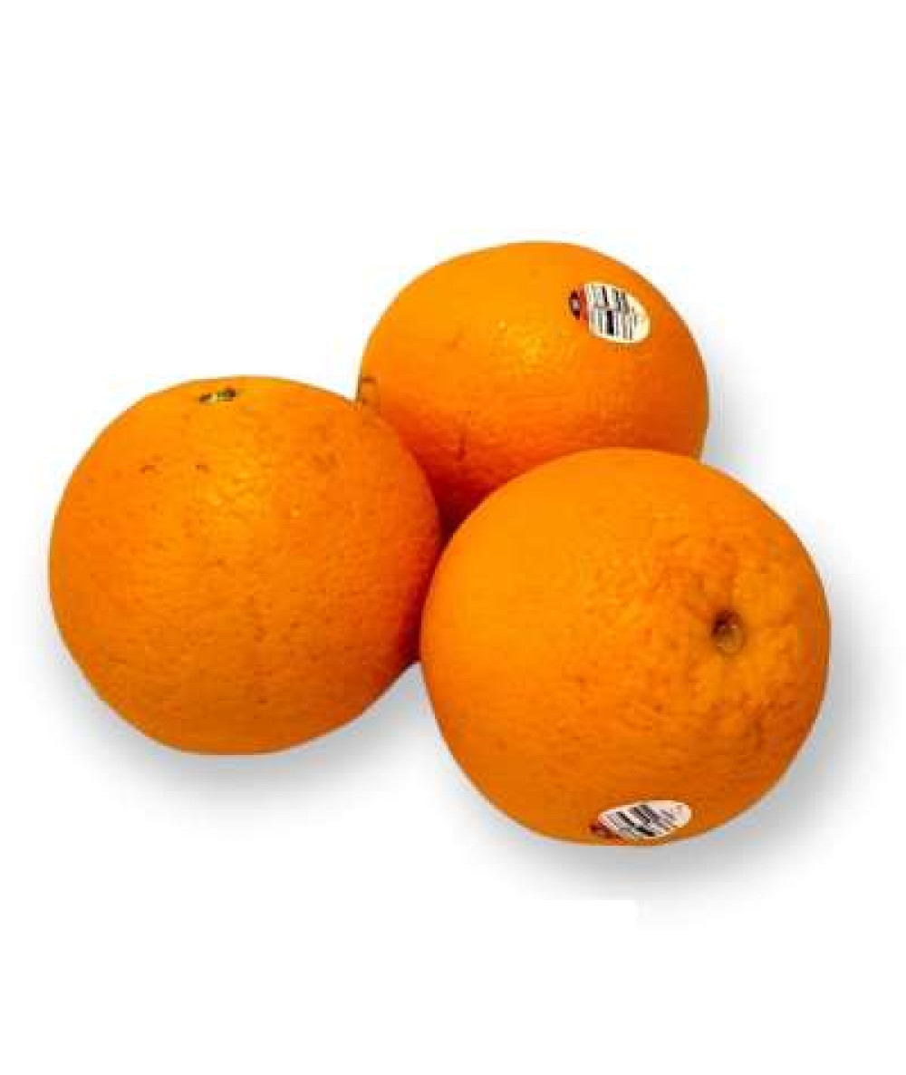 NAVEL ORANGE L (AUS) C72 1PC