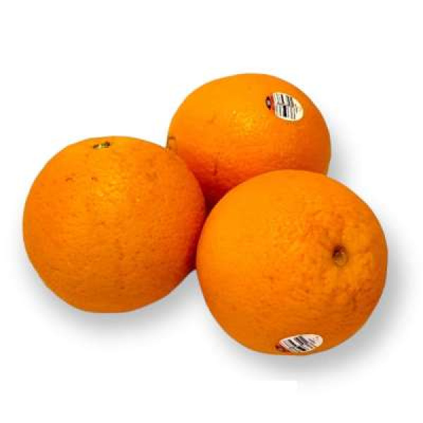 NAVEL ORANGE L (AUS) C72 1PC