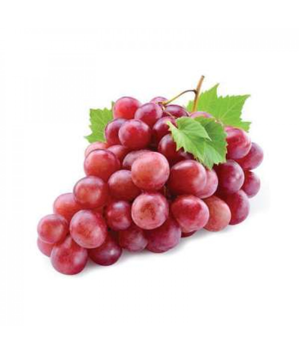 RED GLOBE GRAPE (CHN) /KG