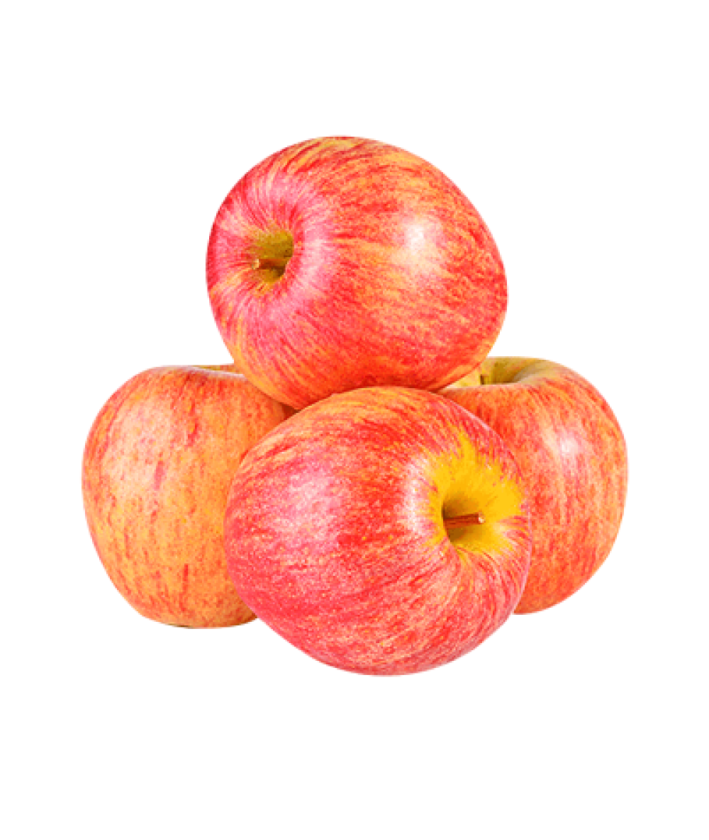 ROYAL GALA APPLE L (ZAF) C90 1PC