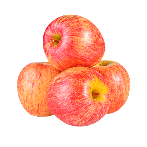 ROYAL GALA APPLE L (ZAF) C90 1PC