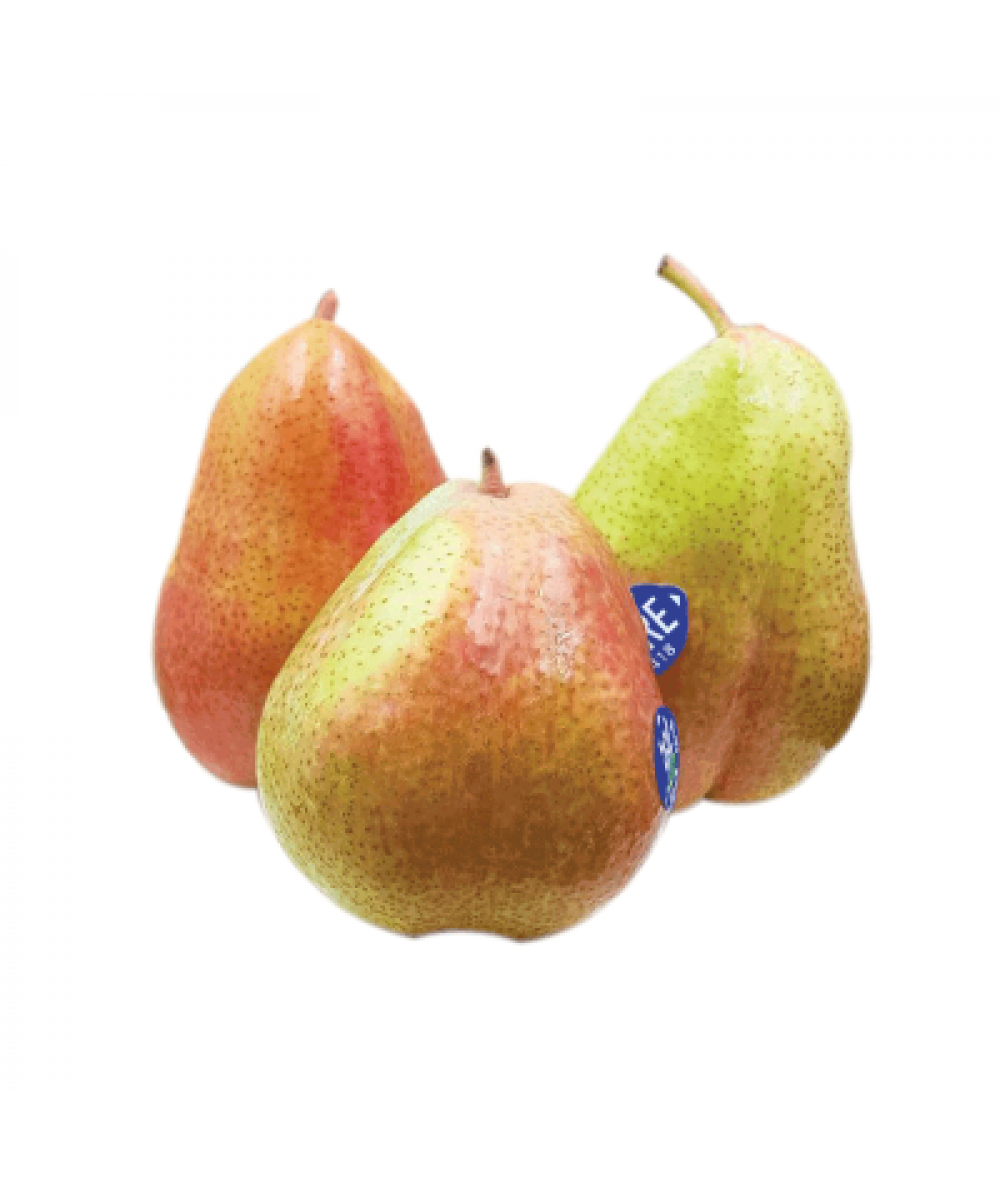 FORELLA PEAR M (ZAF) C60 1PC