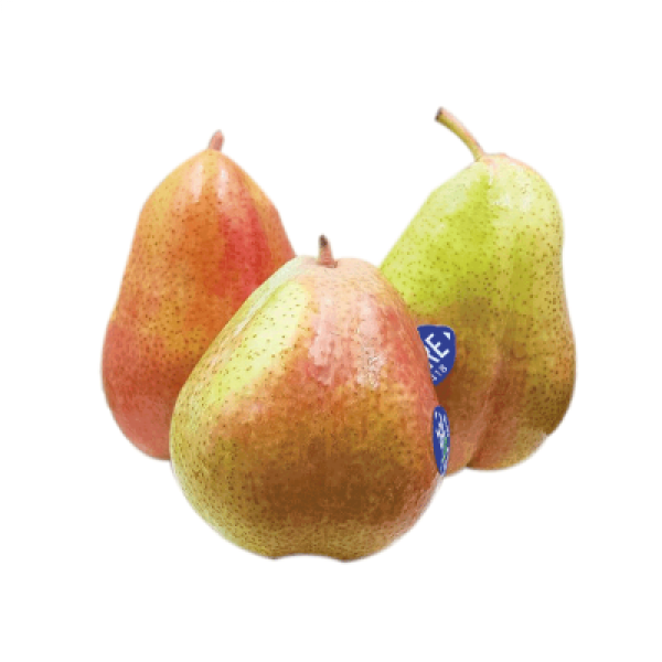 FORELLA PEAR M (ZAF) C60 1PC