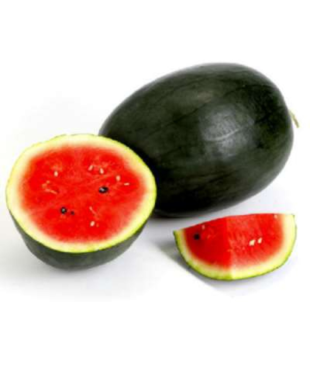 BLACK BEAUTY WATERMELON /KG