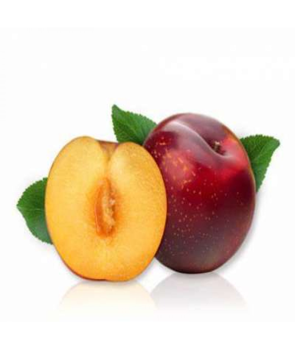 MINI PLUM (CHN) C16 500GM+/-