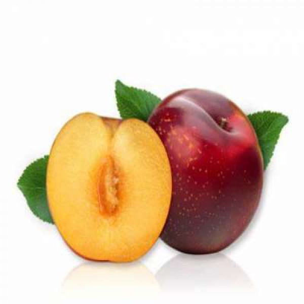 MINI PLUM (CHN) C16 500GM+/-