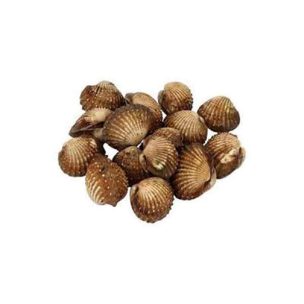 KERANG /KG