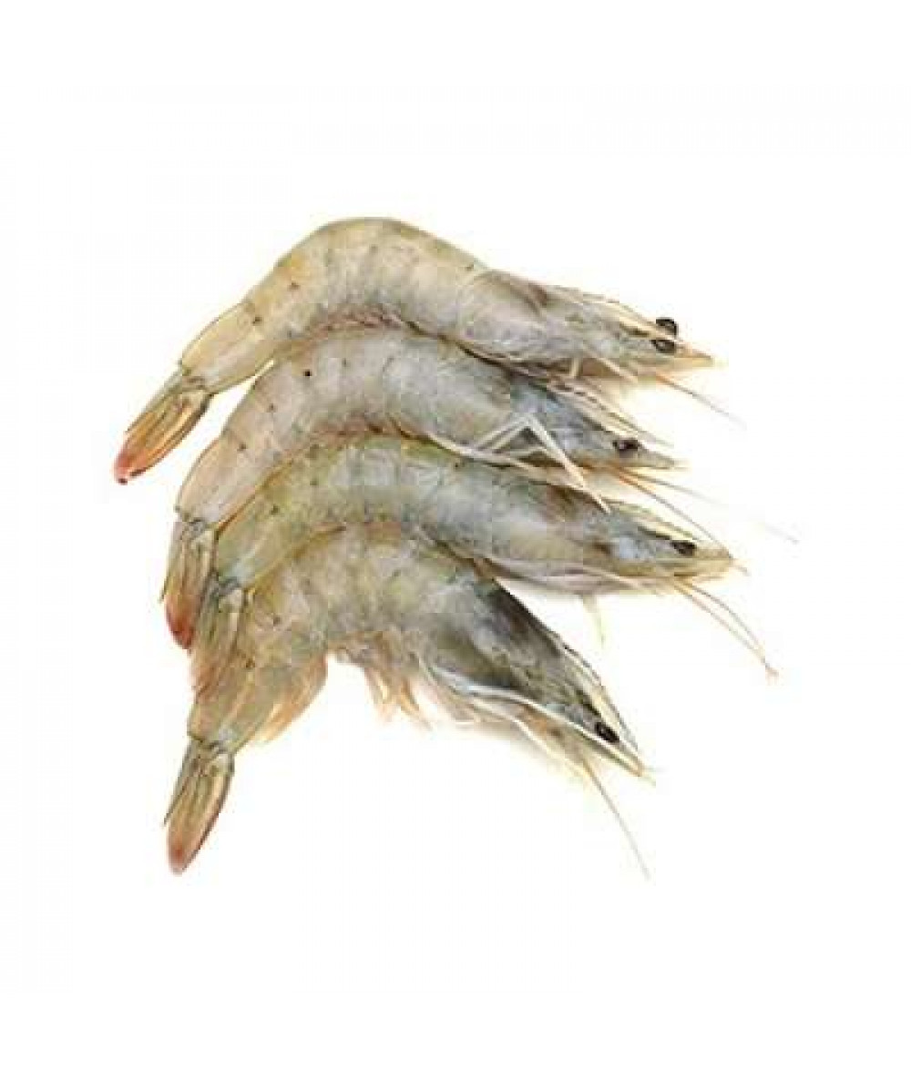 UDANG PUTIH KECIL /KG