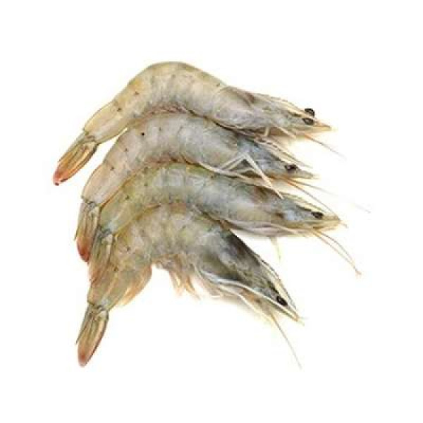 UDANG PUTIH KECIL /KG