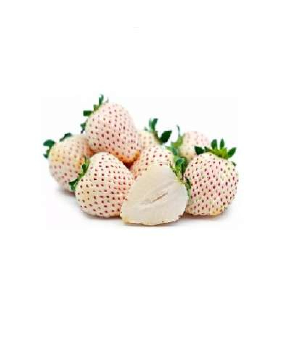 CAMERON SNOW WHITE STRAWBERRY 250G+/-