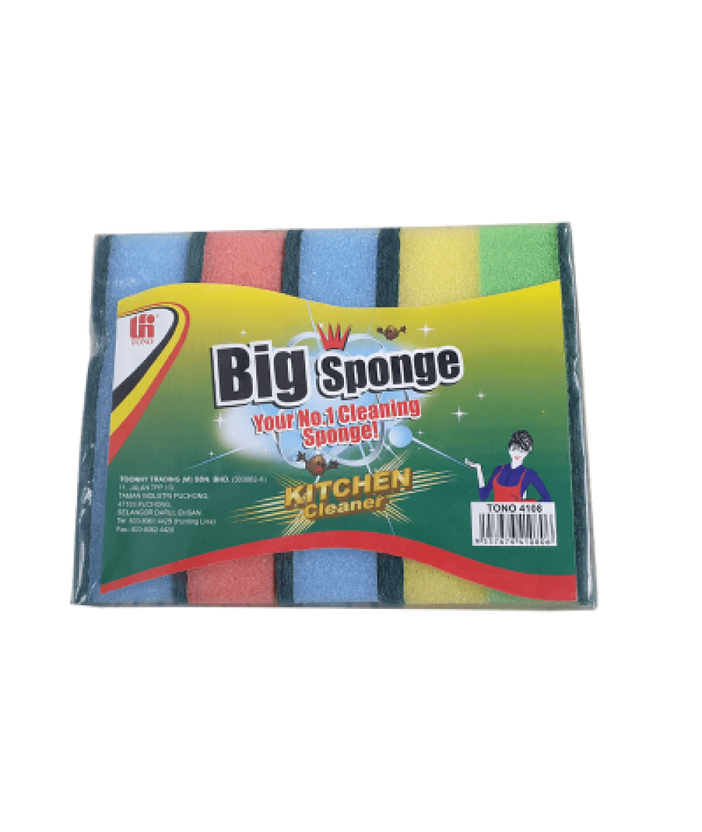 5PCS SCOURING PAD WITH SPONGE 