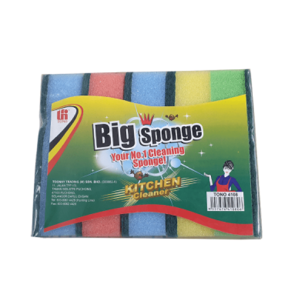 5PCS SCOURING PAD WITH SPONGE 