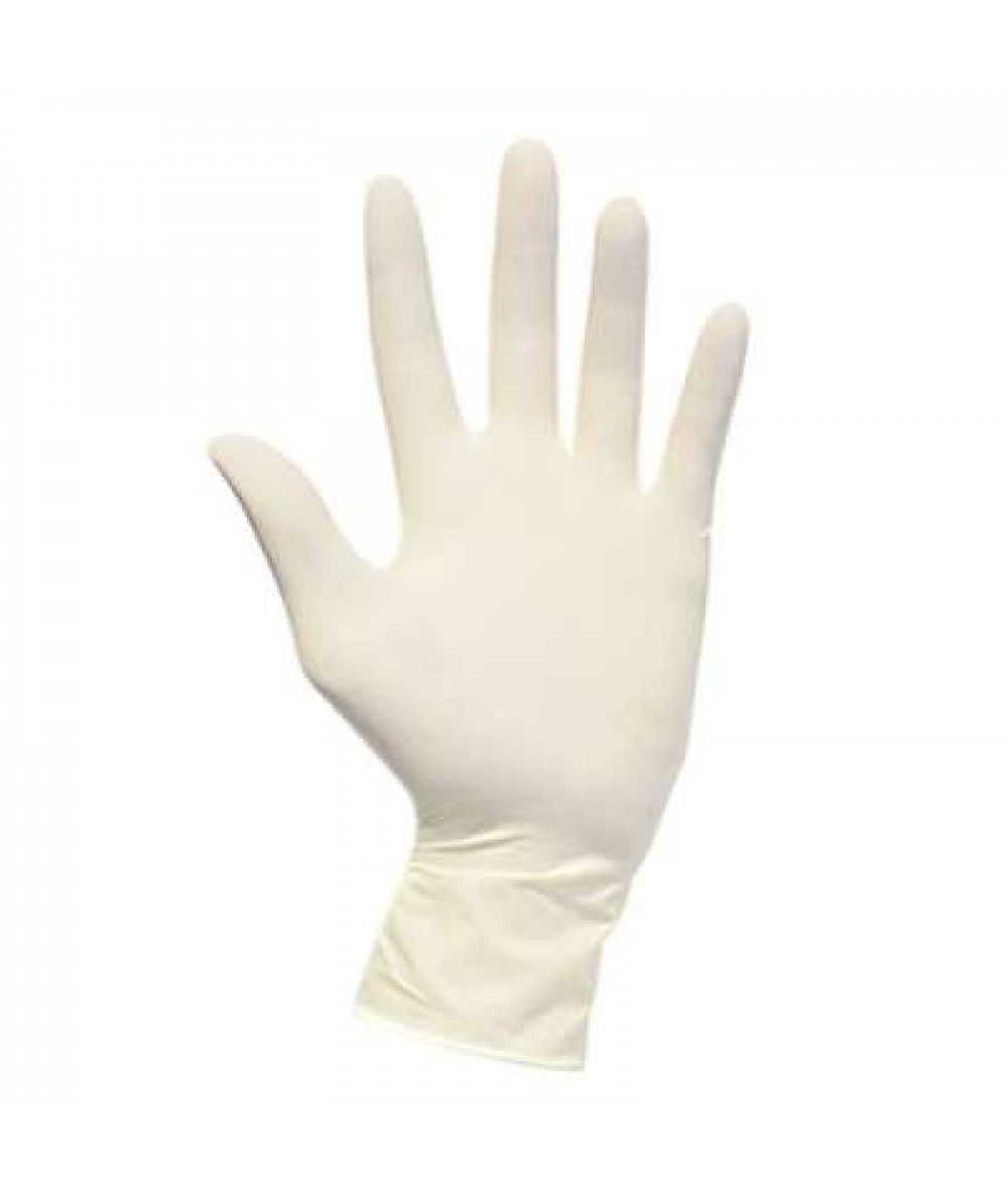 LATEX EXAM. GLOVE (M) 10PCS 